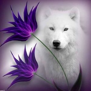 Meet your Posher, Mireya